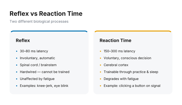 Versus card comparing reflex (30–80 ms, involuntary, spinal cord, hardwired) against reaction time (150–300 ms, voluntary, cerebral cortex, trainable)